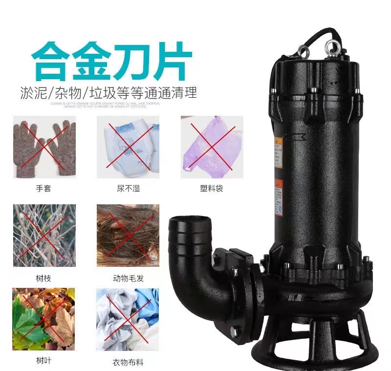 Water pump motor