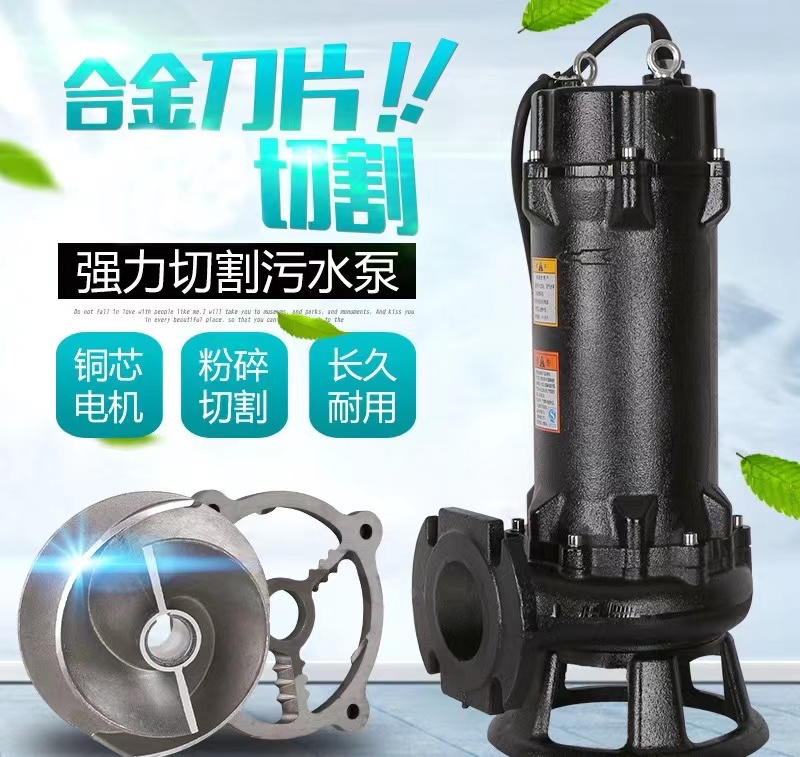 Water pump motor